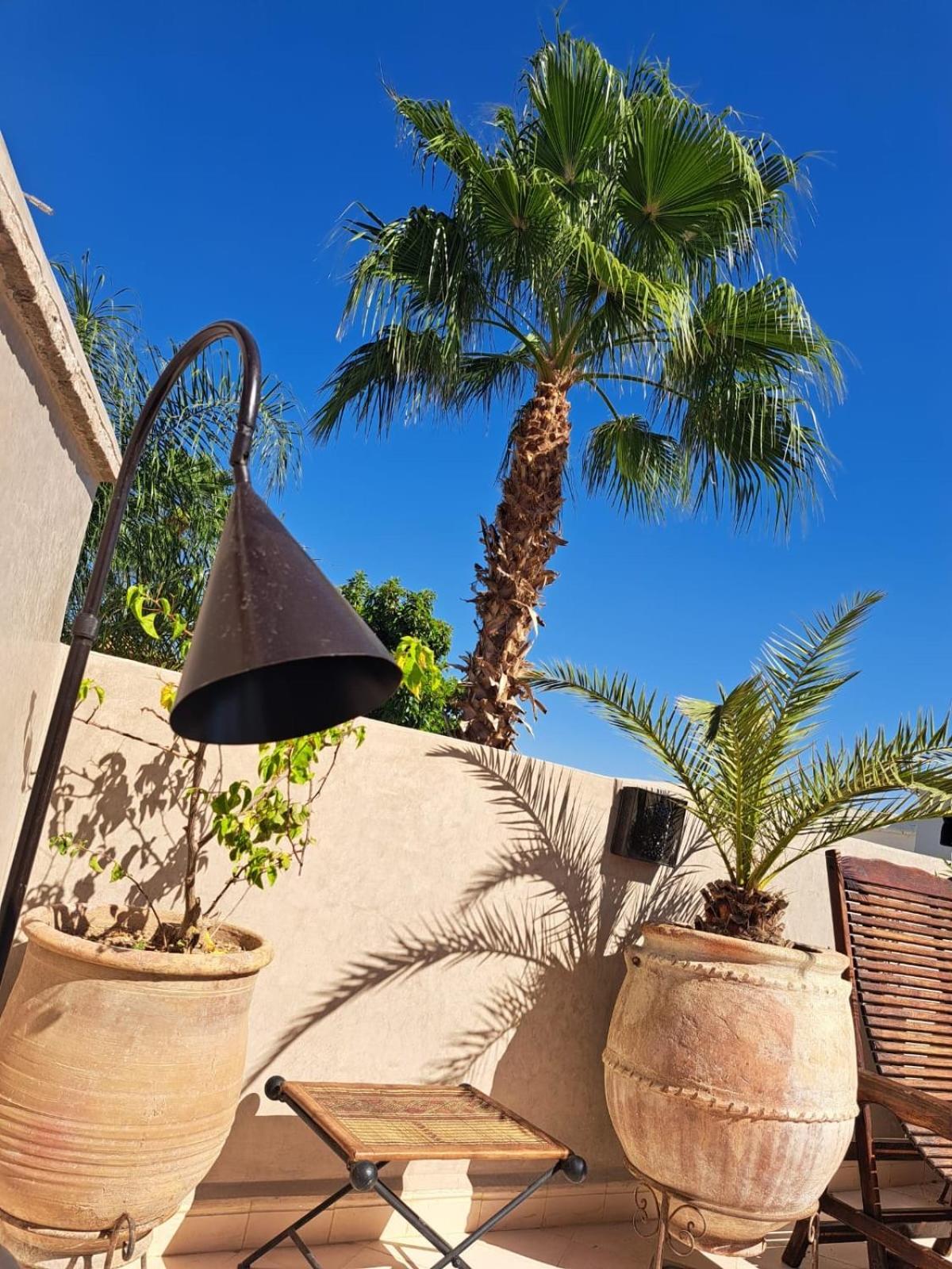 Riad Des Fragrances Dar El Bacha 马拉喀什 外观 照片